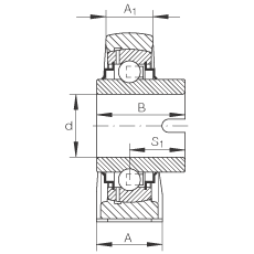 直立式軸承座單元 RASEL20-N, 鑄鐵軸承座，浮動軸承，內(nèi)圈有驅(qū)動槽，R 型密封